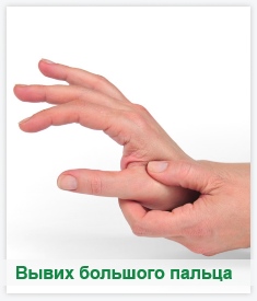 Большой Палец На Руке Фото